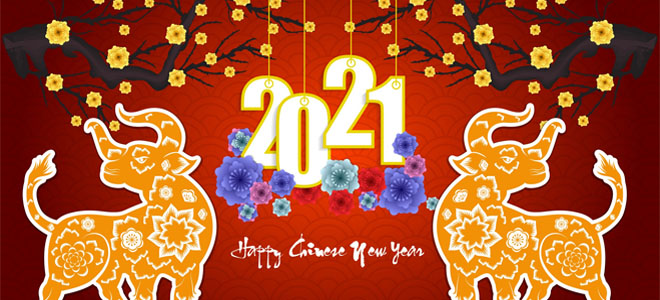 Поздравляем Вас с Новым 2021 годом!!!